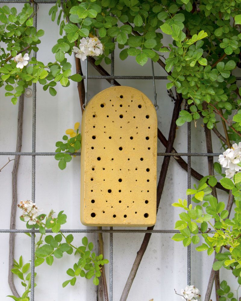 Schwegler Insektennistblock – Nisthilfe aus Holzbeton für Wildbienen & Schlupfwespen