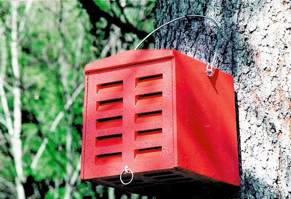 Schwegler Florfliegenquartier – Überwinterungshilfe für natürliche Schädlingsbekämpfer