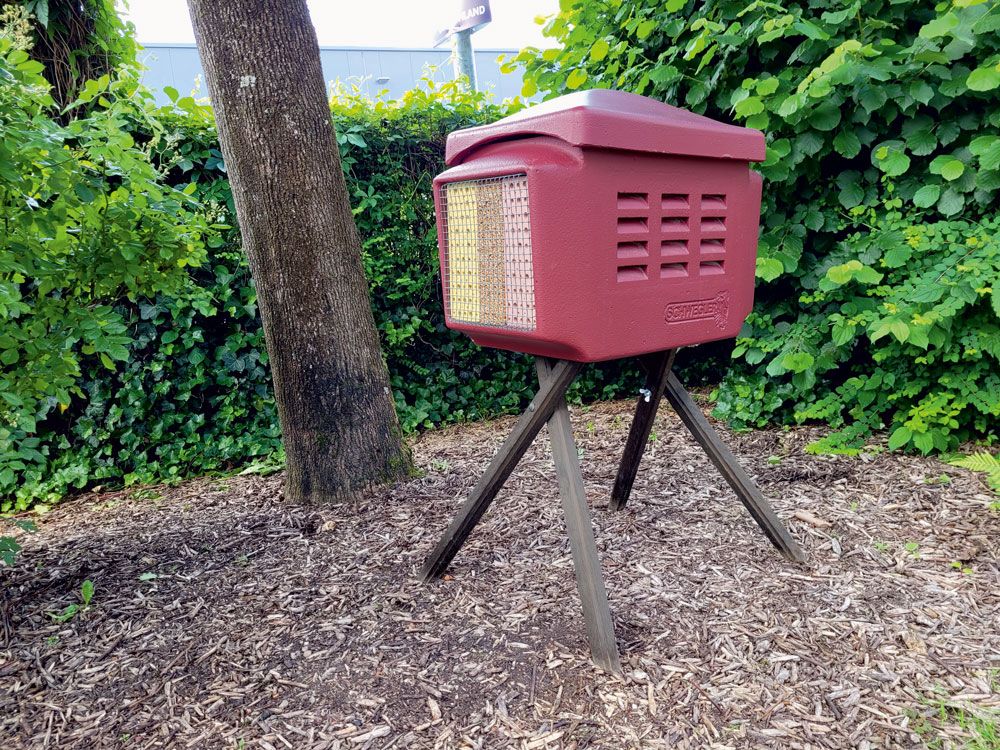 Schwegler Insekten-Kombi (DBP) – Nützlingshotel zur Schädlingskontrolle & Bestäubung