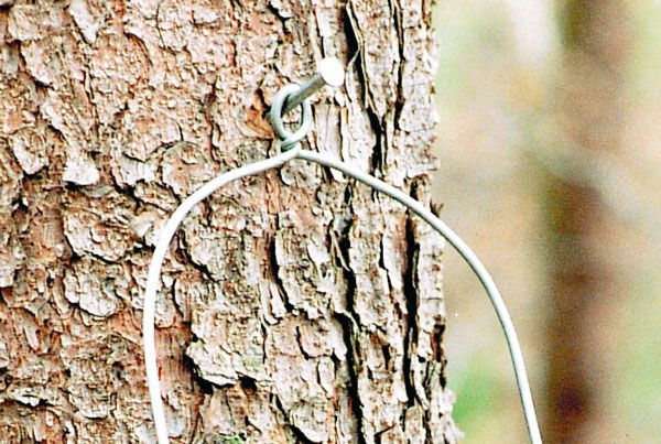 Schwegler Alunagel – Standardnagel zur Montage von Nisthöhlen an Bäumen | GardenNeeds