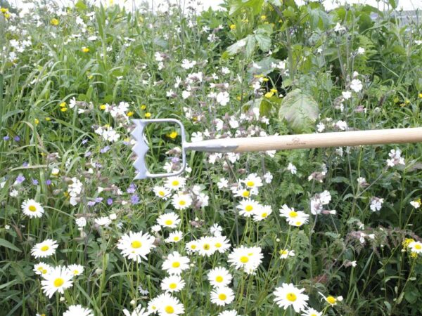 Sneeboer Königliche Hollandschuffel 12,5 cm – Effektives Unkrautwerkzeug (165 cm)