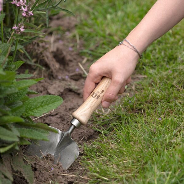 Sneeboer Piet Oudolf Kollektion in Samenkiste – Limited Edition