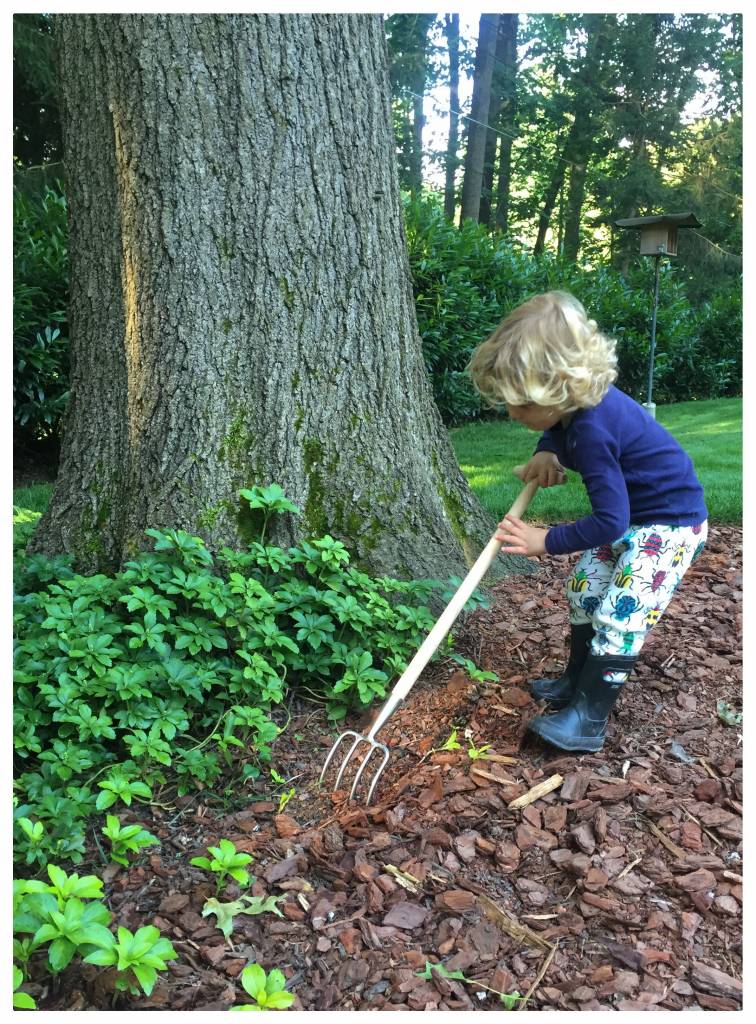 Sneeboer Kinderforke – Robuste Gartengabel für kleine Gärtner ab 6 Jahren