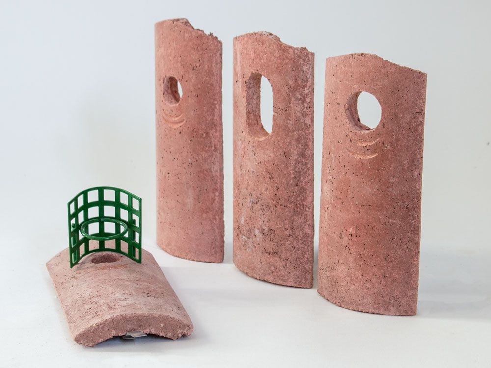 Schwegler Nisthöhle 1B mit 26 mm Flugloch – für Kleinmeisen