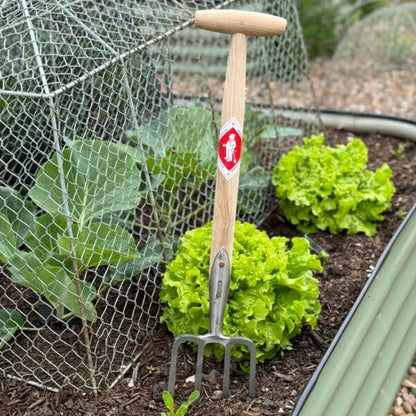 Sneeboer Great Dixter Forke 4Z – Kompaktes Gartenwerkzeug mit 4 Zinken (62 cm)