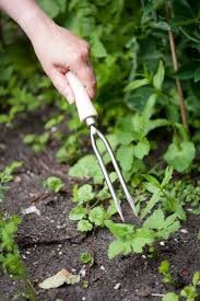 Sneeboer Blumengabel 2 – Kompaktes Gartenwerkzeug für Pflanzarbeiten (31 cm)