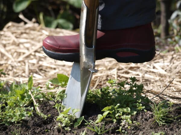 Sneeboer Spaten mit Tritt – Robuster Gartenspaten für schwere Böden (109 cm)