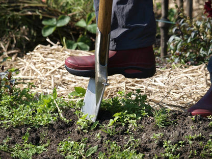 Sneeboer Vintage Border Spade Limited Edition – Robuster Gartenspaten für präzise Arbeiten (110 cm)