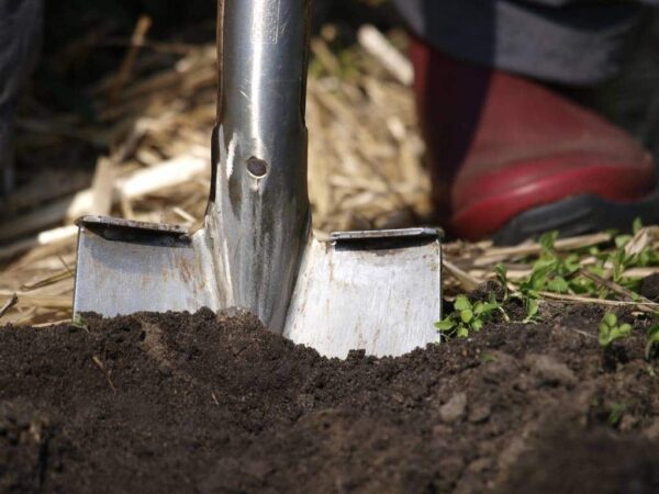 Sneeboer Vintage Spaten Limited Edition – Robuster Gartenspaten für präzise Erdarbeiten (116 cm)