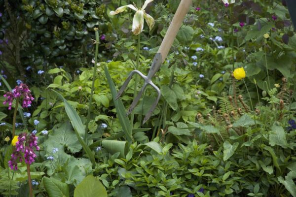 Sneeboer Great Dixter Forke – Robustes Gartenwerkzeug für Bodenbearbeitung (144 cm)