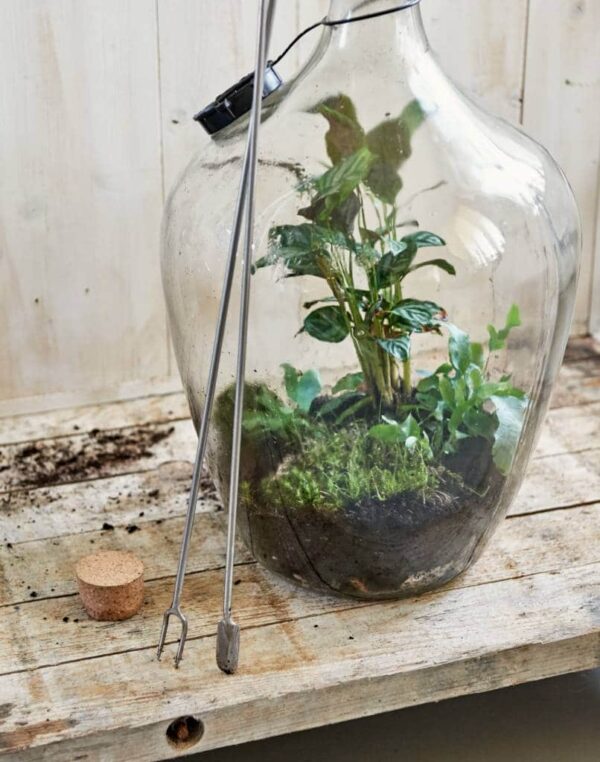Sneeboer Terrarium-Gabel mit Stampfer – Präzisionswerkzeug für Flaschengärten