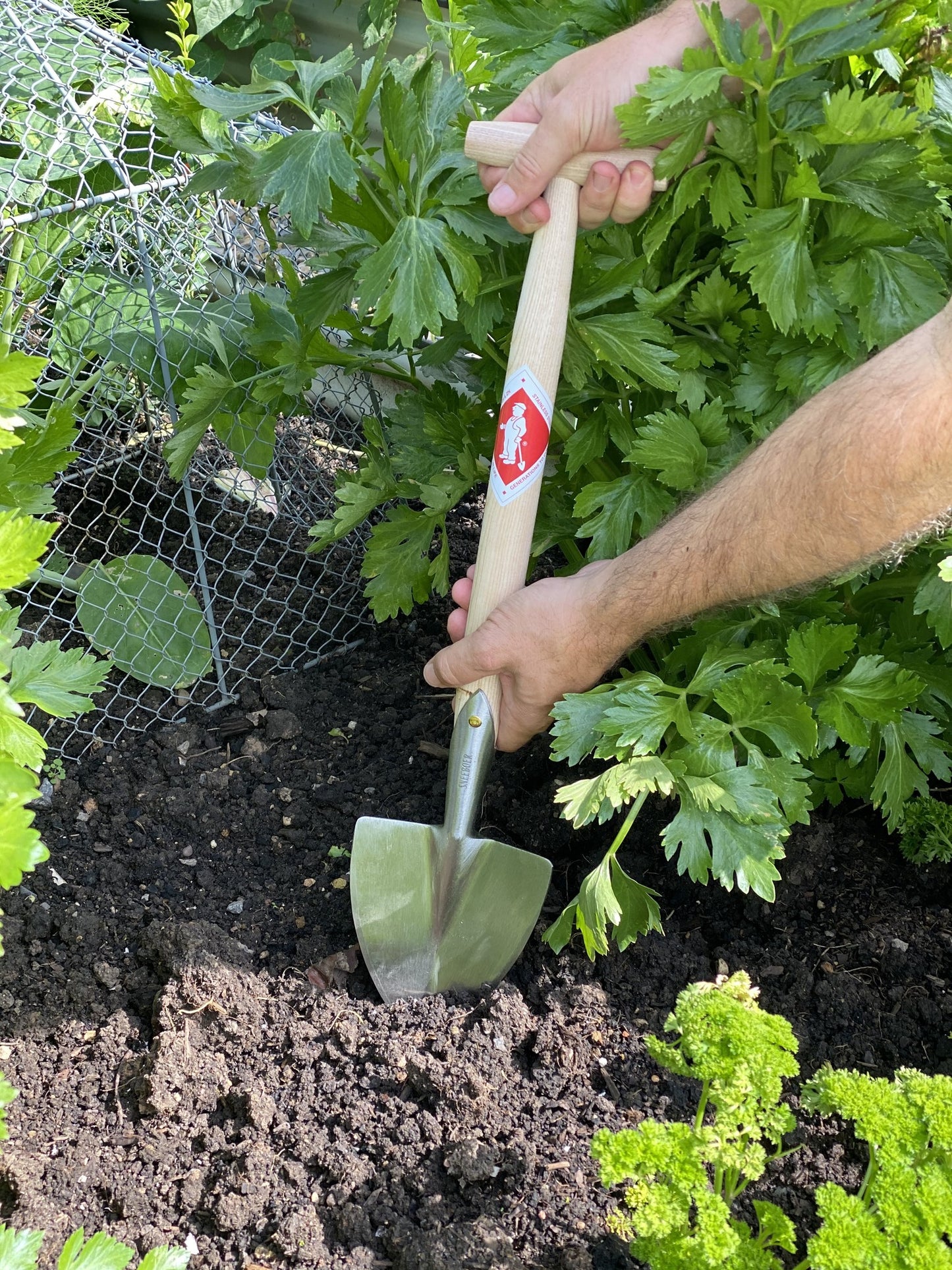 Sneeboer Great Dixter Stauden-Spaten – Kompaktes Werkzeug für Pflanzarbeiten (56 cm)