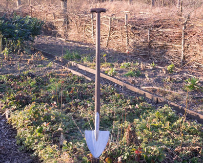 Sneeboer Vintage Spitzspaten Limited Edition mit 18 cm Edelstahlklinge und 90 cm Eschenholzgriff, Gesamtlänge 110 cm
