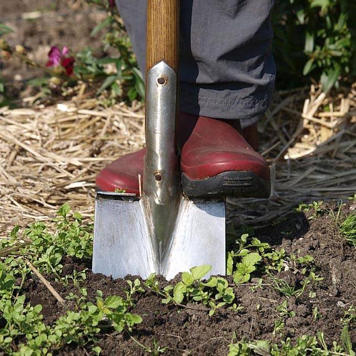 Sneeboer Vintage Spaten Limited Edition – Robuster Gartenspaten für präzise Erdarbeiten (116 cm)